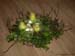 Aranz_Velka