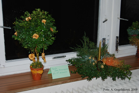 Aranz_Vianoce_09-12-11_07