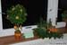 Aranz_Vianoce_09-12-11_07