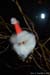 Aranz_Vianoce_09-12-11_16