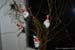 Aranz_Vianoce_09-12-11_17